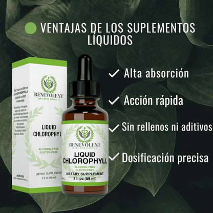 CloroFresh Detox® – Clorofila Líquida en Gotas