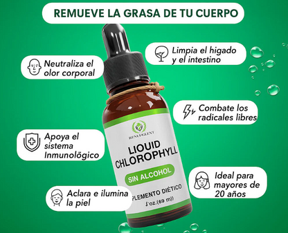 CloroFresh Detox® – Clorofila Líquida en Gotas